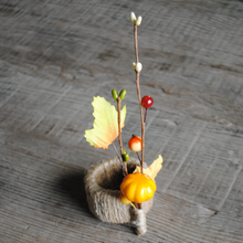 Load image into Gallery viewer, Fall Pumpkin Napkin Ring Set